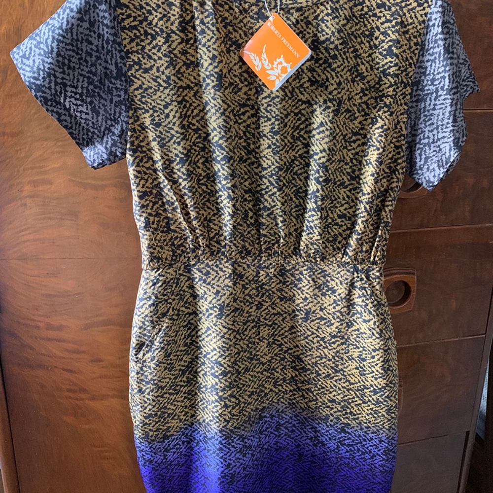 NWT_Roberta Freymann Silk Dress